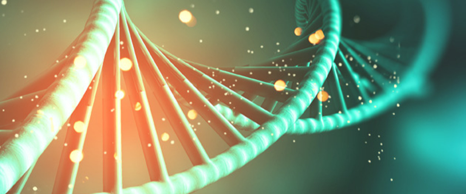 Do Your Church Facilities Fit Its DNA?